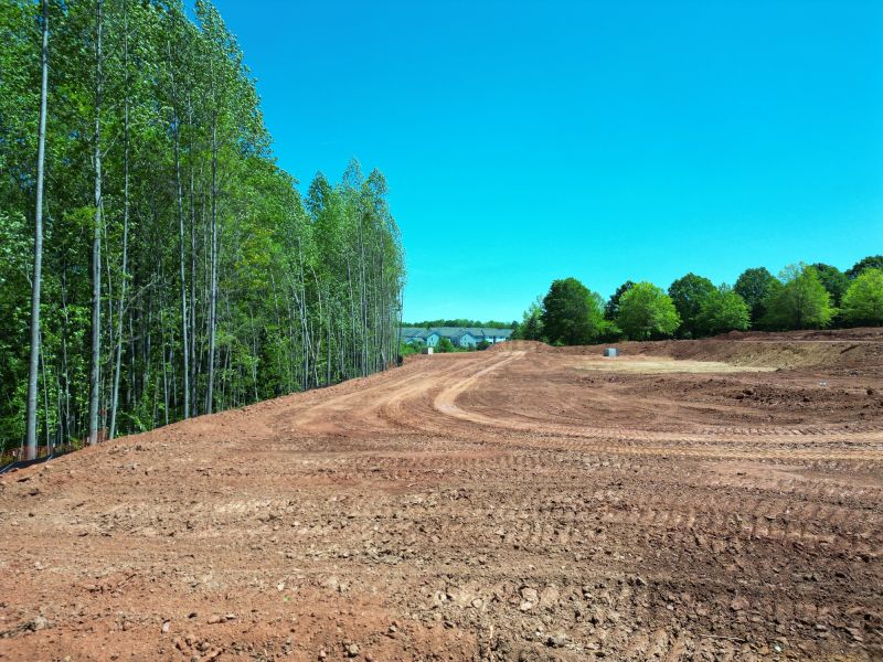 Pre-Construction Land Clearing