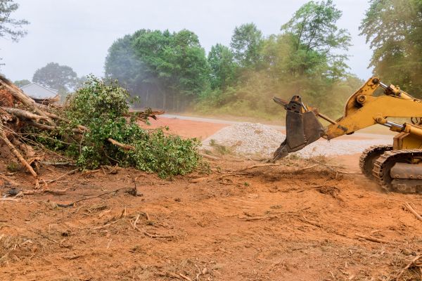 Cost of Forestry Mulching Service in Bainbridge Island