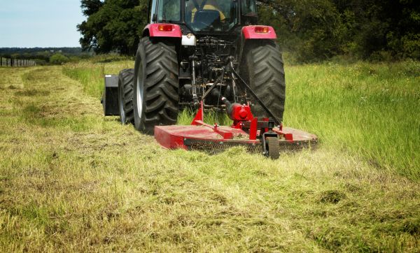 Brush Clearing Service in Bainbridge Island