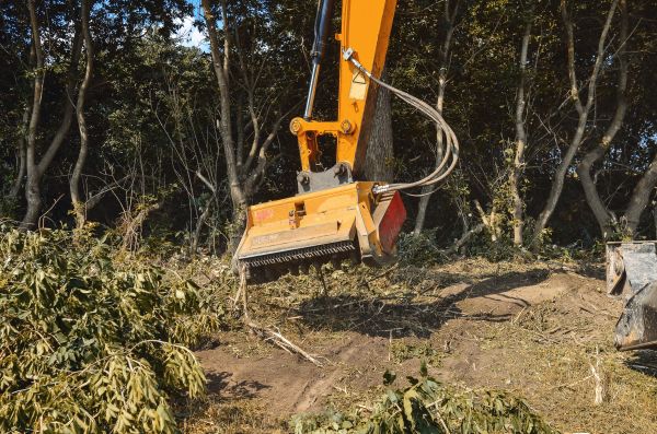 Brush Removal Service in Bainbridge Island