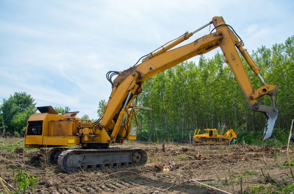 Cost of Farm Clearing in Bainbridge Island