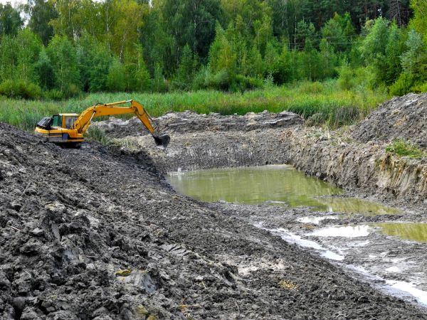 Cost of Lake Lot Clearing in Bainbridge Island
