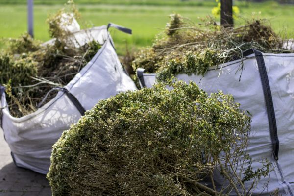 Cost of Bushes Clearing in Bainbridge Island