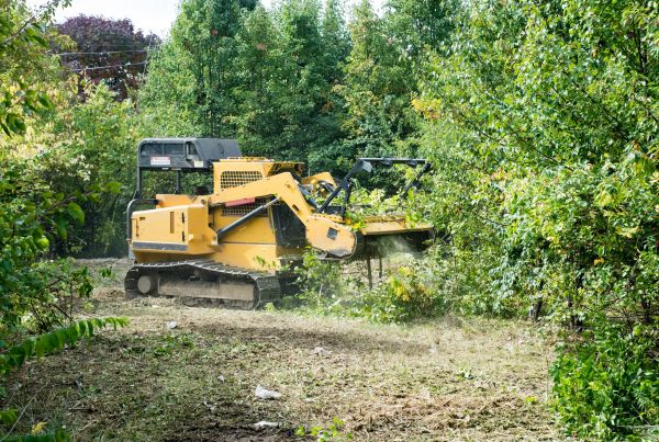 Cost of Pathway Clearing in Bainbridge Island