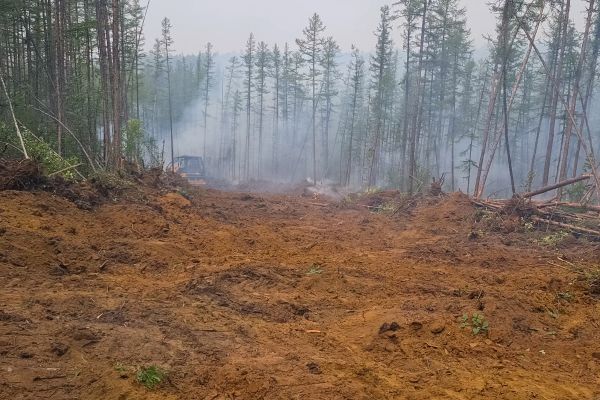Cost of Hill Clearing in Bainbridge Island