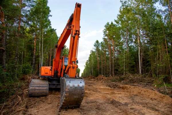 Cost of Backhoe Land Clearing in Bainbridge Island