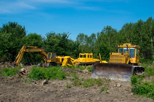 Cost of Bulldozer Clearing in Bainbridge Island