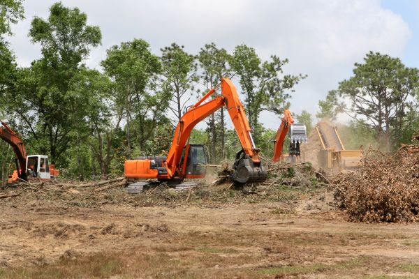 Cost of Commercial Lot Clearing in Bainbridge Island