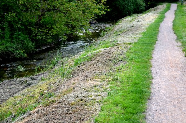 Cost of Trail Cutting in Bainbridge Island